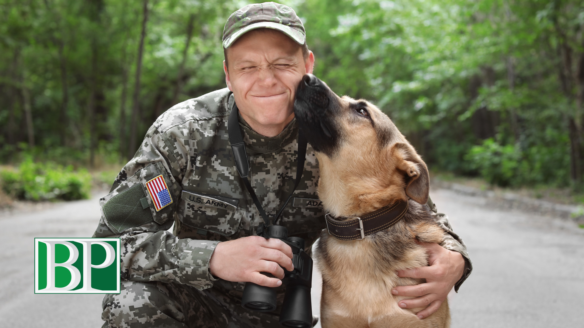 celebrate-national-pets-for-veterans-day